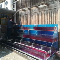 湛江廣東水生財魚缸廠 專業生態魚缸訂做與設計的一站式解決方案